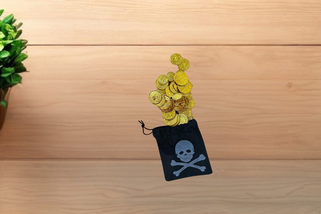 Bourse pirate