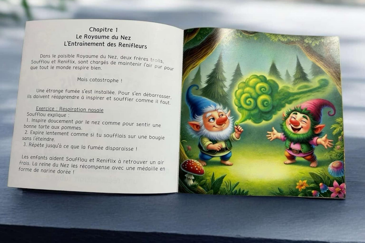 Livre "Les aventures de Tubairix et ses amis"