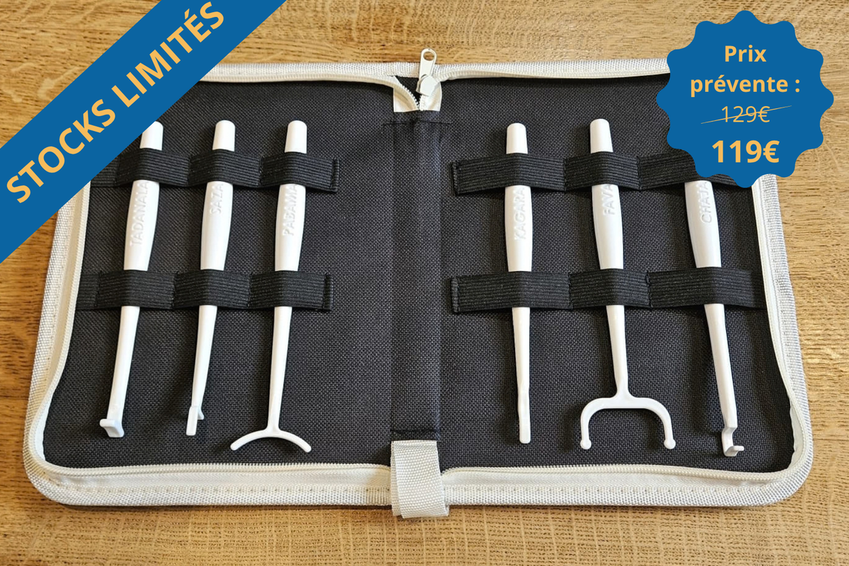 6 guides-langue + guide pratique, Baumann Ed.