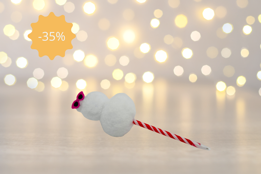 Stylo bonhomme de neige 🎄