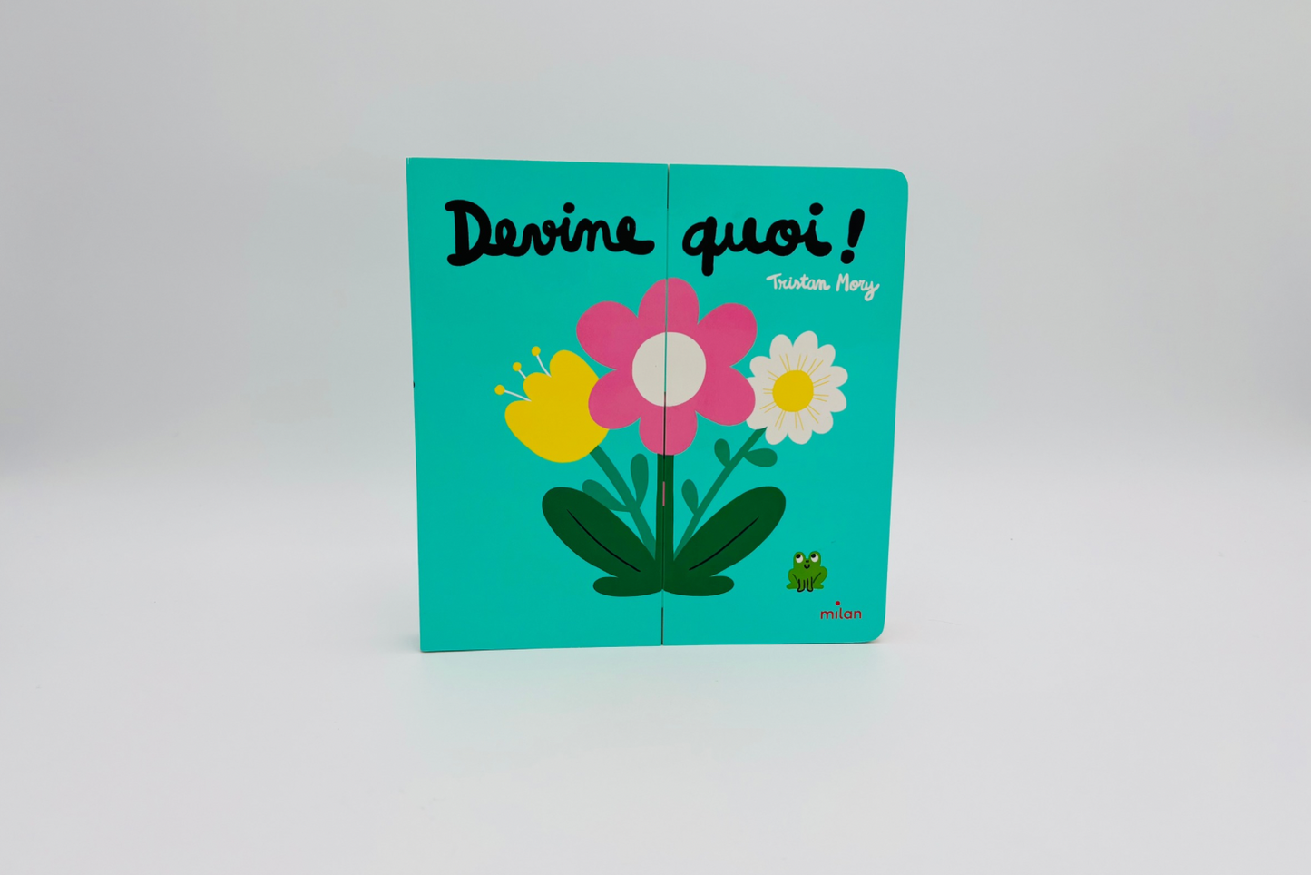Livre "Devine quoi"
