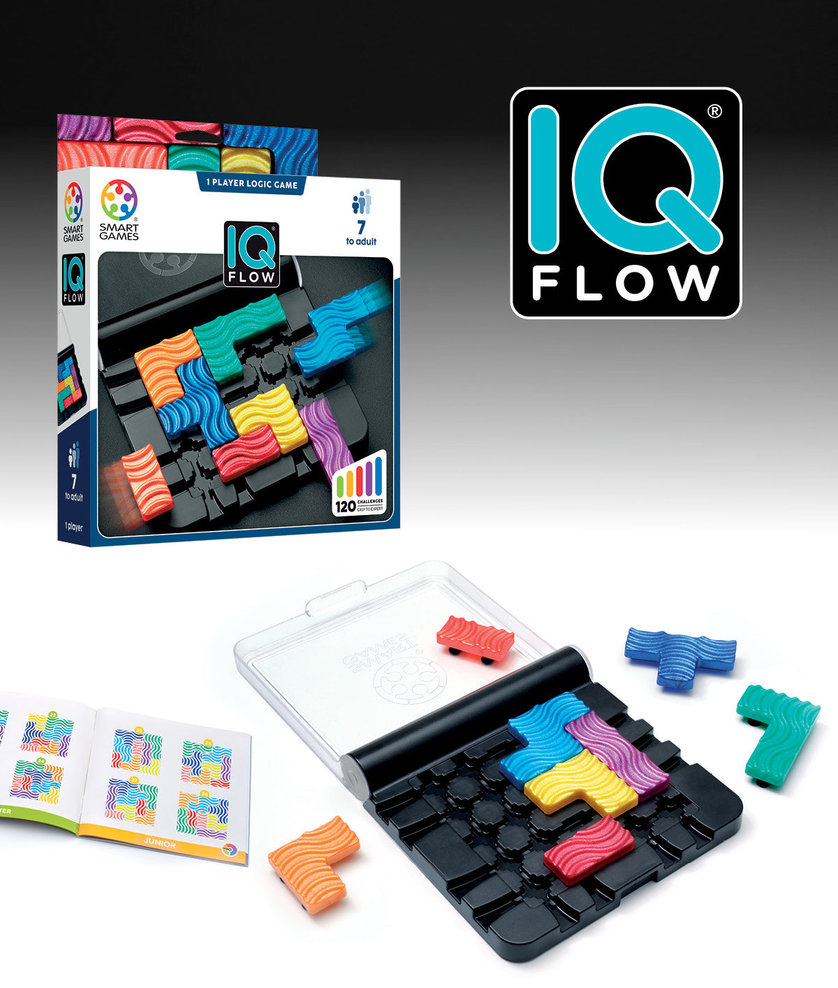 IQ Flow de Smart Games®
