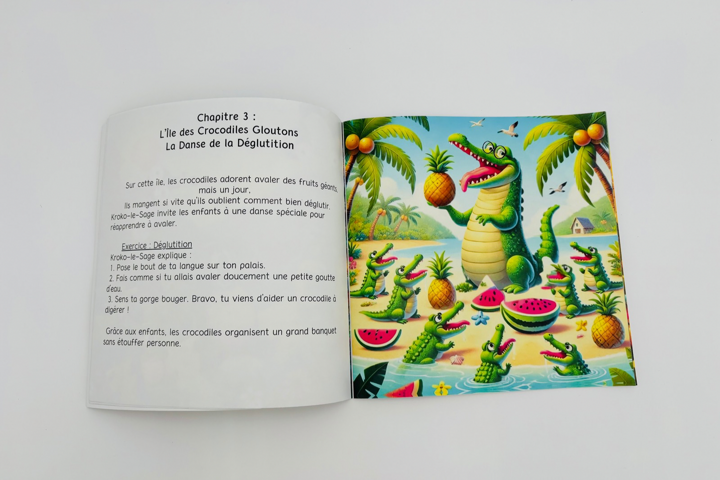 Livre "Les aventures de Tubairix et ses amis"