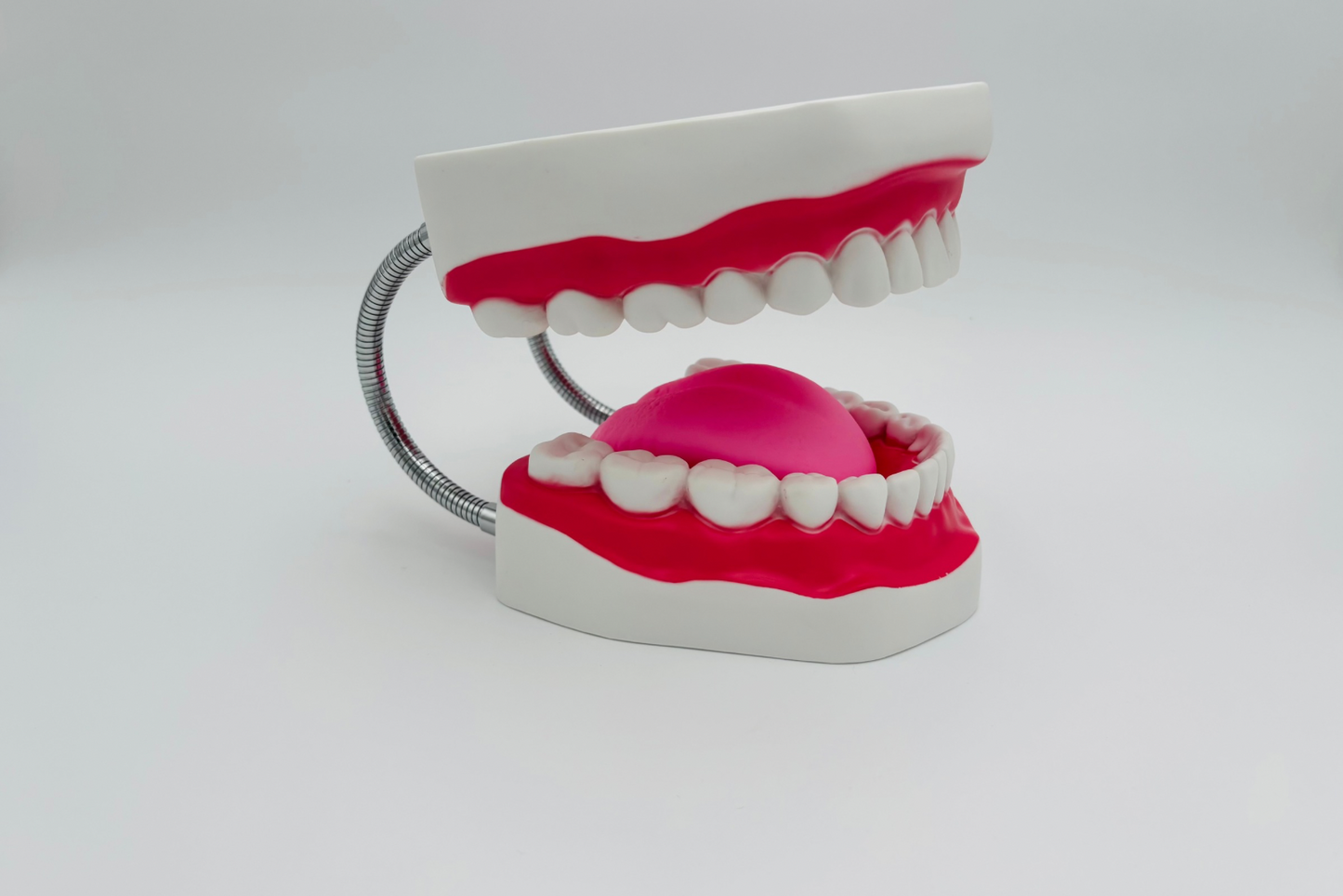 Mâchoire géante à ressort