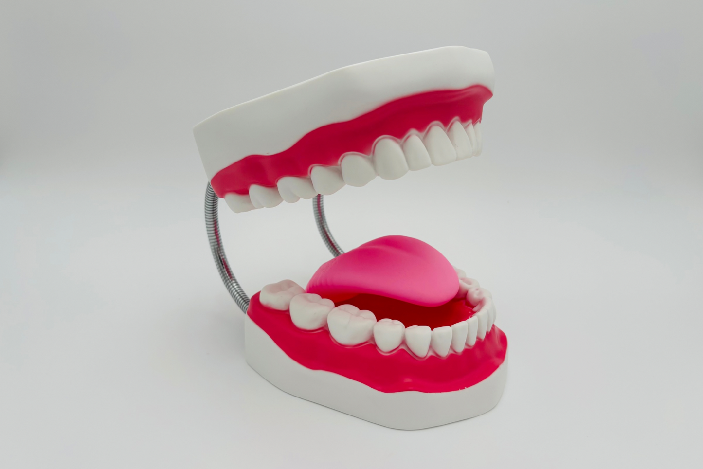 Mâchoire géante à ressort