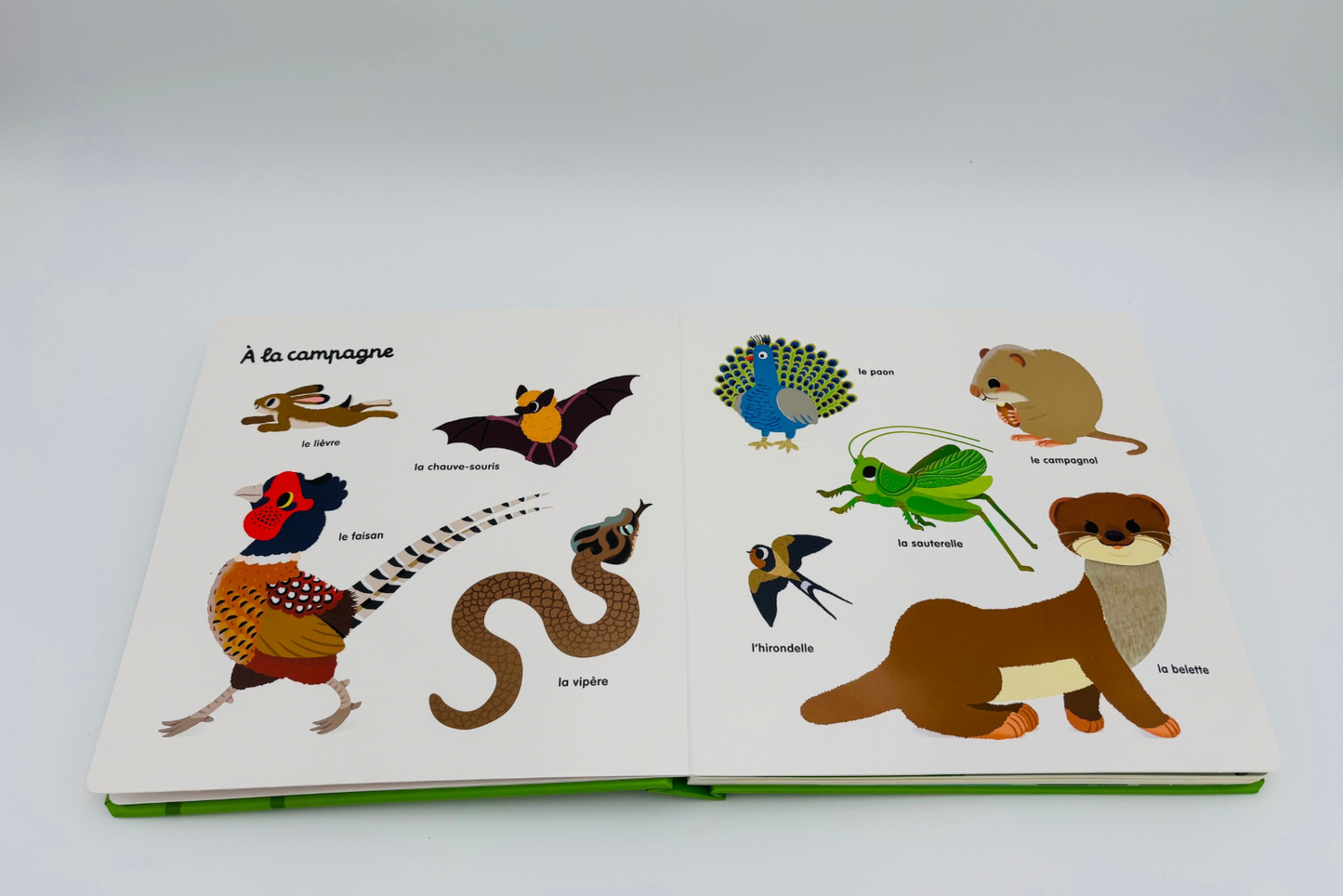 Mon grand imagier des animaux à toucher