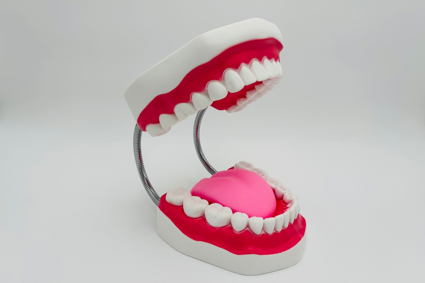 Mâchoire géante à ressort