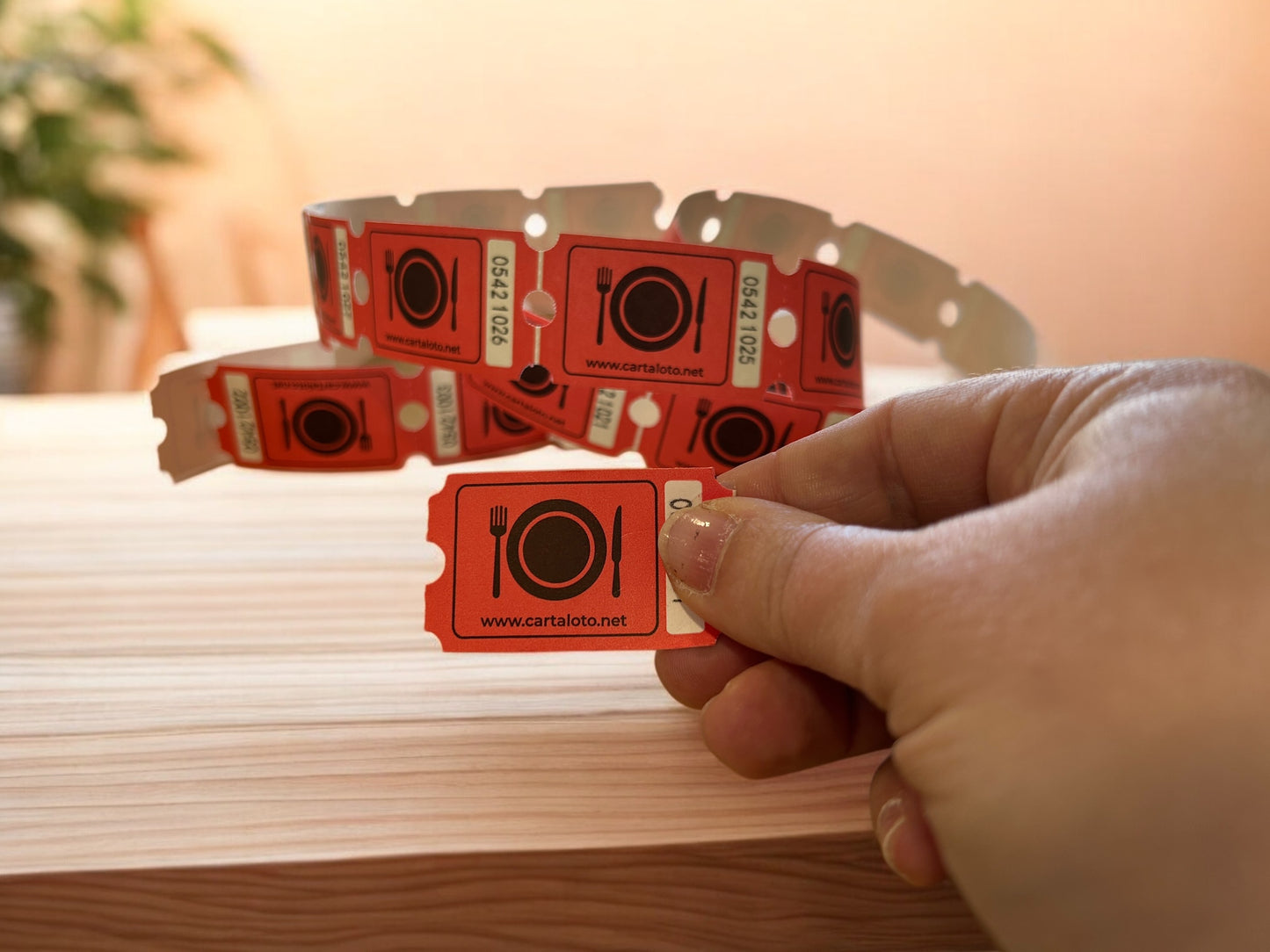 Rouleau de 30 tickets repas