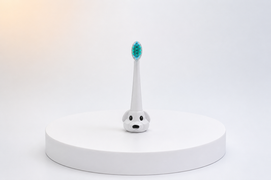 Têtes de brosse pour NEOSONIC et NEOKIDS