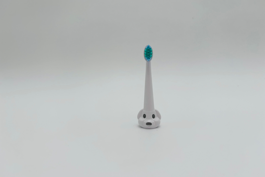 Têtes de brosse pour NEOSONIC et NEOKIDS